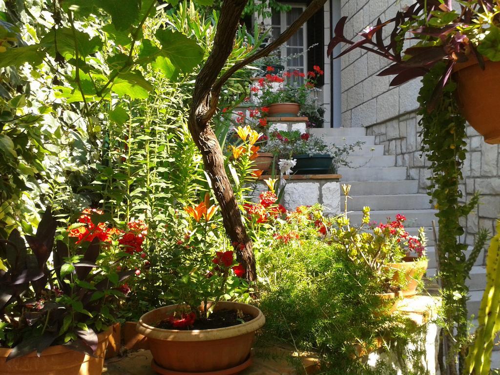 Rooms Cvetka Ντουμπρόβνικ Εξωτερικό φωτογραφία