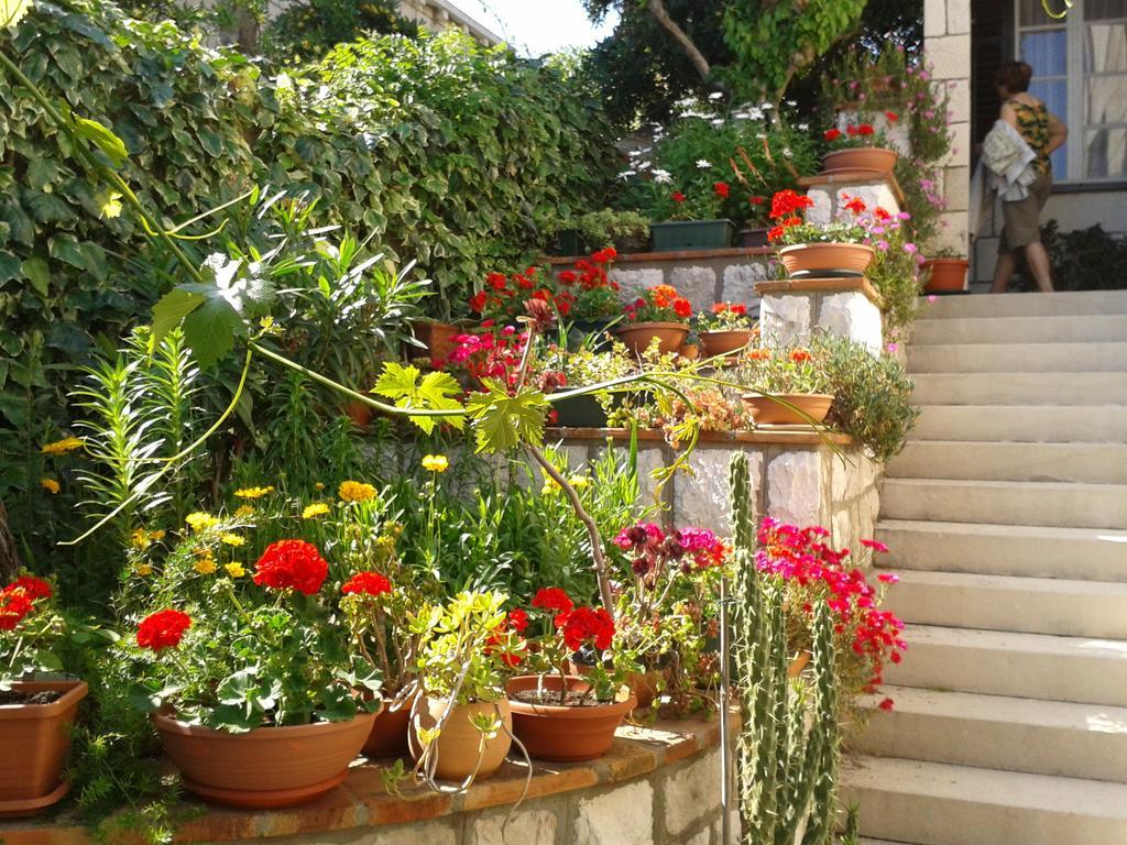 Rooms Cvetka Ντουμπρόβνικ Εξωτερικό φωτογραφία