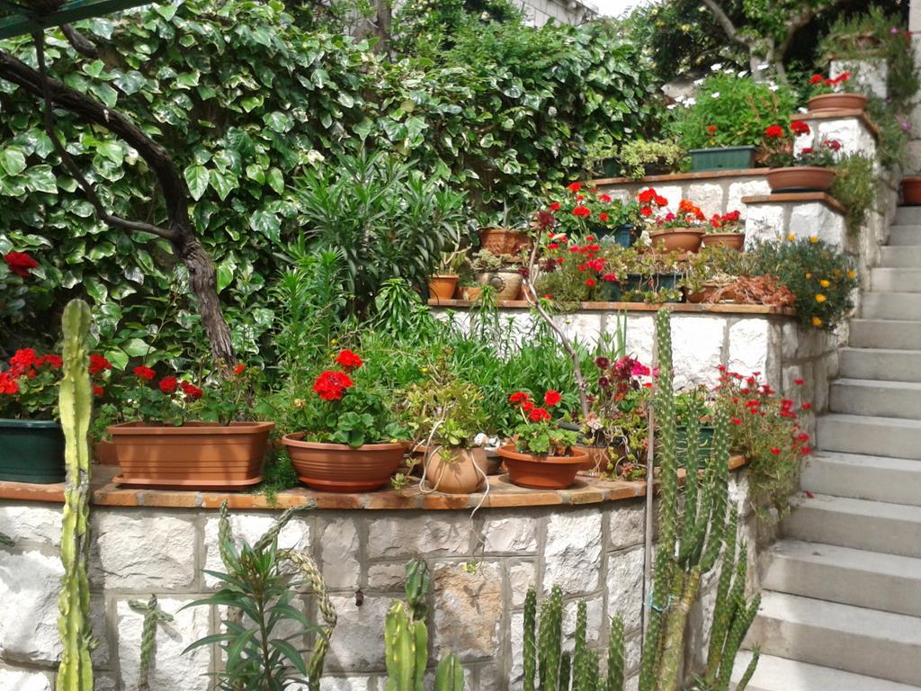 Rooms Cvetka Ντουμπρόβνικ Εξωτερικό φωτογραφία