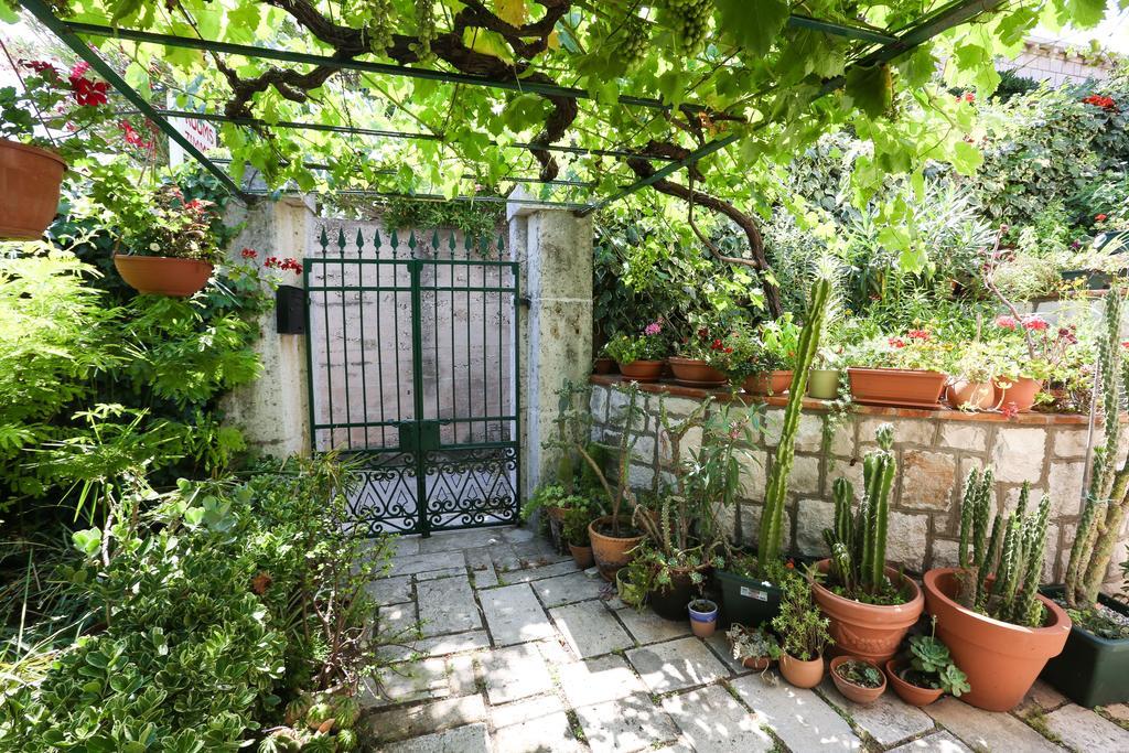 Rooms Cvetka Ντουμπρόβνικ Δωμάτιο φωτογραφία